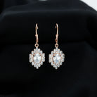 Sparkanite Jewels-Cluster Moissanite Drop Earrings with Lever Back Closure