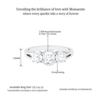 Sparkanite Jewels-Round Moissanite Three Stone Anniversary Ring