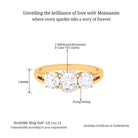 Sparkanite Jewels-Round Moissanite Three Stone Anniversary Ring